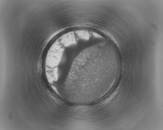 X0000115610830200912081000