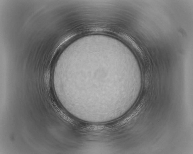 X0000115610831200912081000