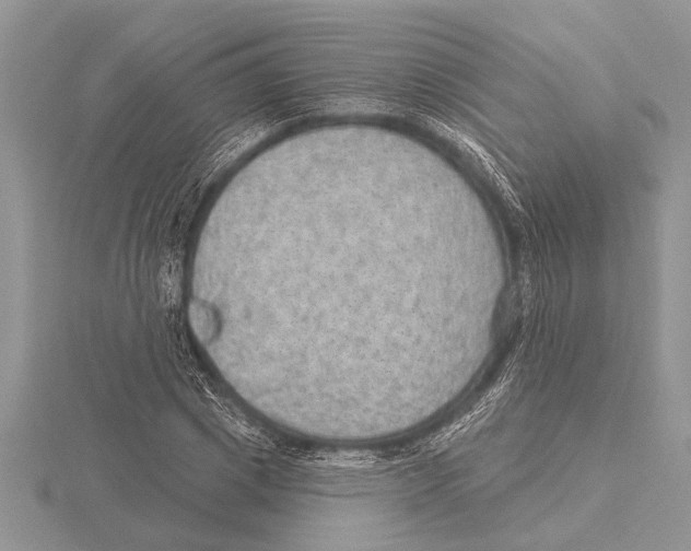 X0000115610833200912081000