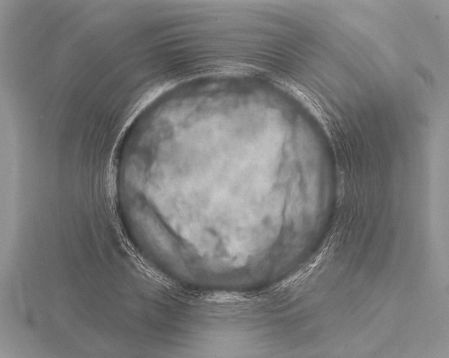 X0000115610835200912081000