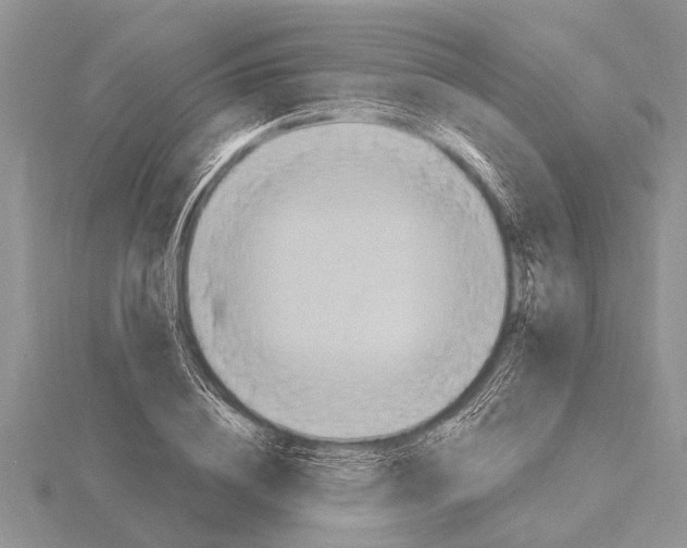 X0000115610836200912081000
