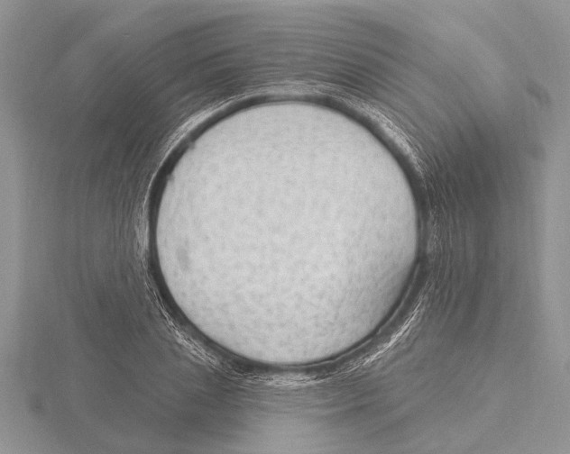 X0000115610837200912081000