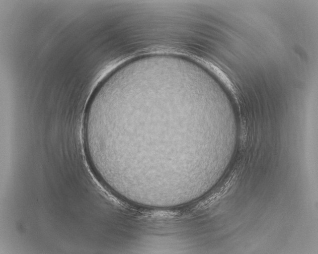 X0000115610847200912081000