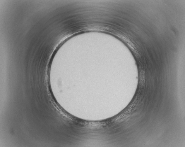 X0000115610848200912081000
