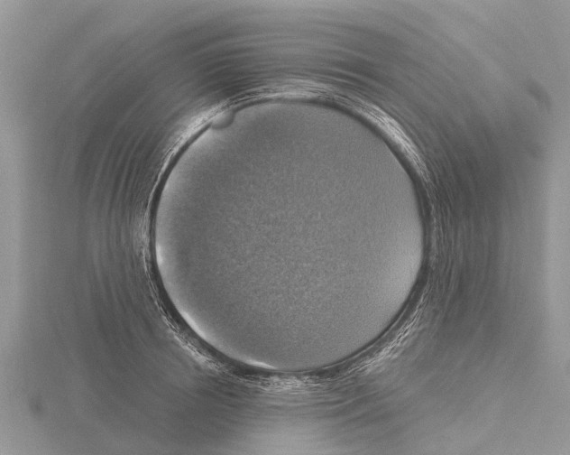 X0000115610850200912081001