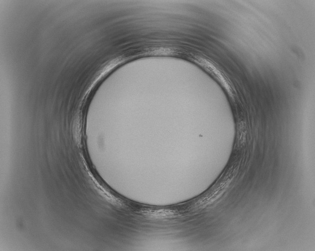 X0000115610851200912081001
