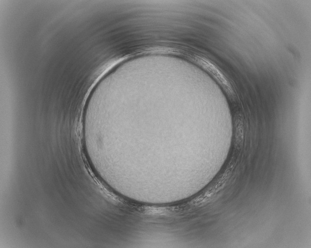 X0000115610852200912081001