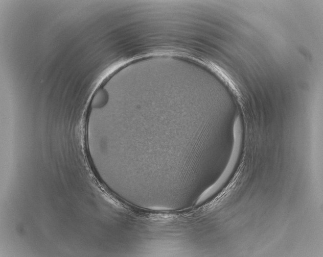 X0000115610854200912081001