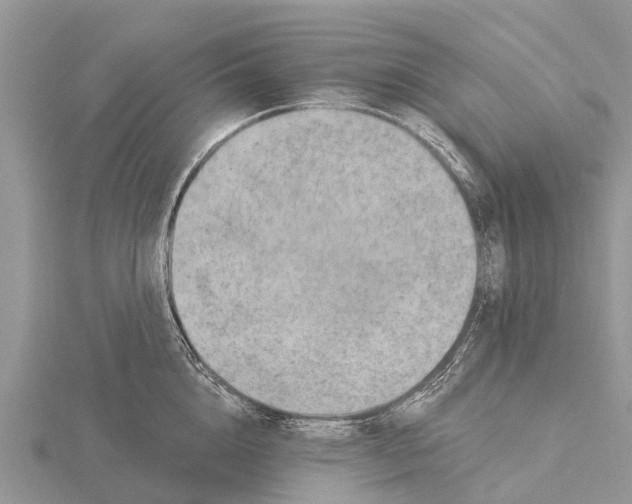 X0000115610856200912081001