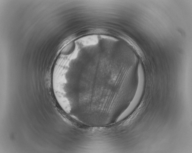 X0000115610858200912081001