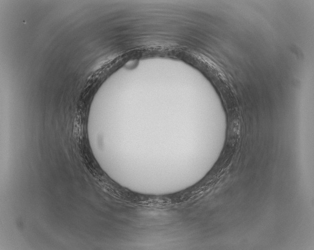 X0000115610869200912081000