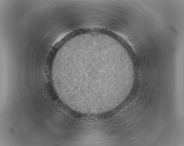 X0000115610871200912081000
