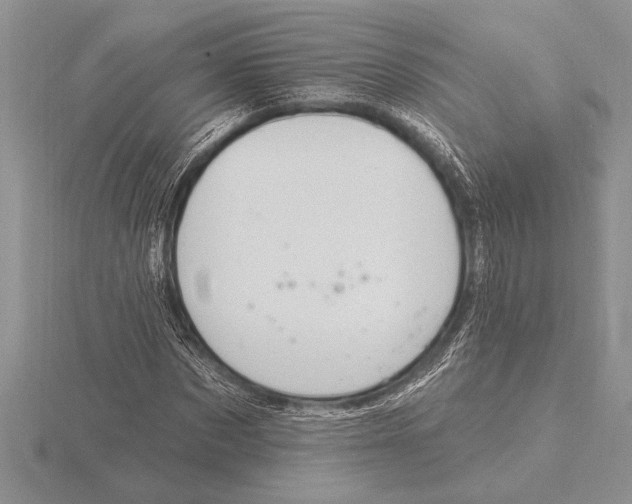 X0000115610873200912081000