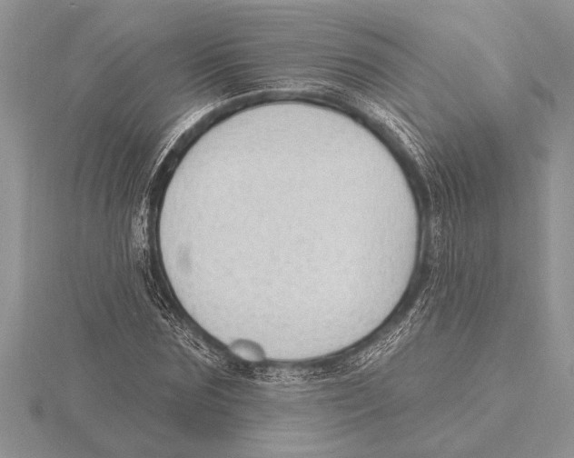 X0000115610875200912081000