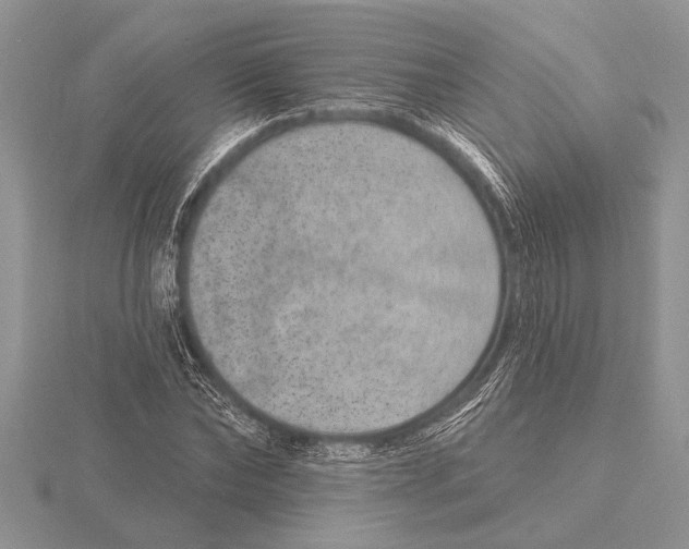X0000115610878200912081000