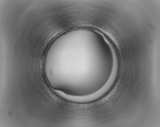 X0000115610881200912081000