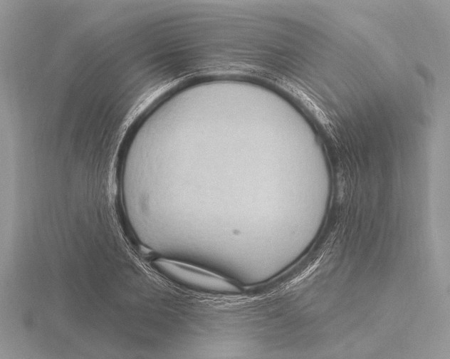 X0000115610885200912081000
