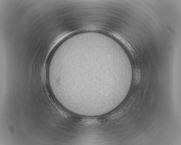 X0000115610886200912081000