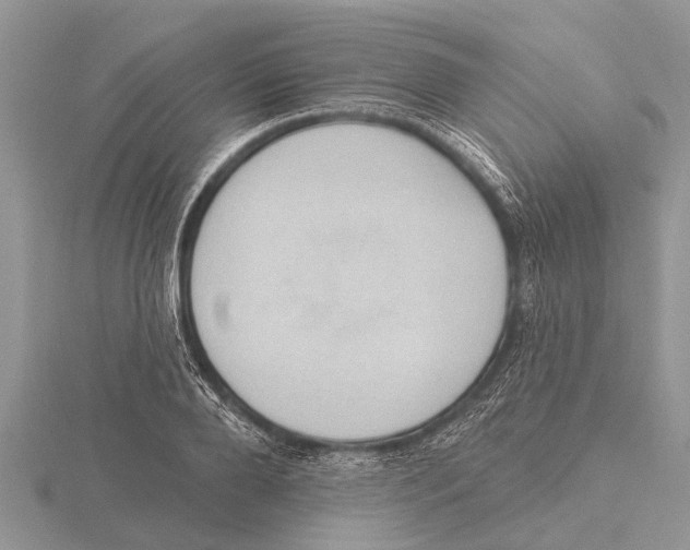 X0000115610888200912081000