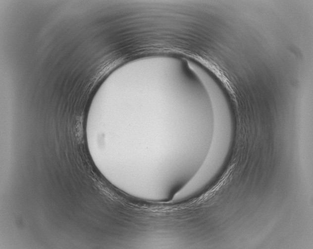 X0000115610889200912081000