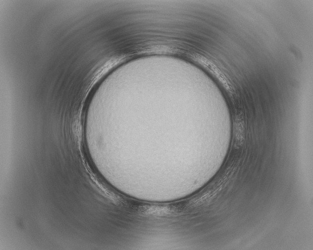 X0000115610890200912081000