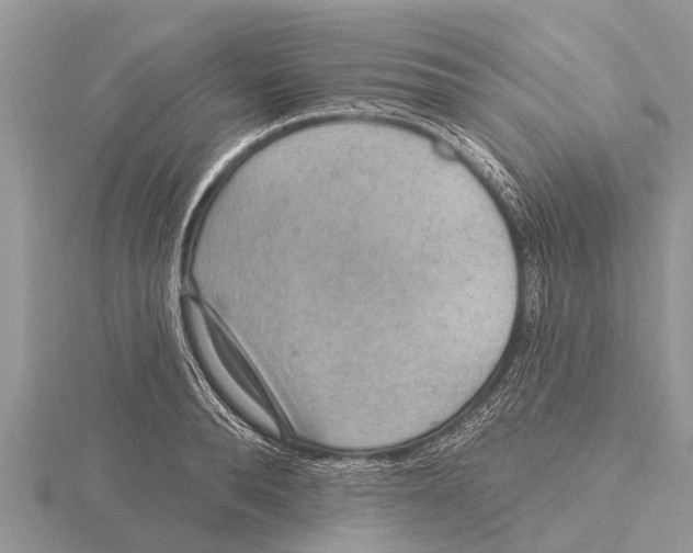 X0000115610896200912081000