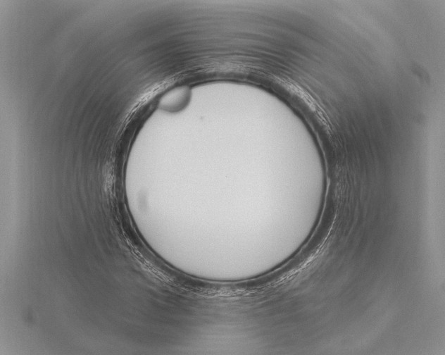 X0000115610922200912080959