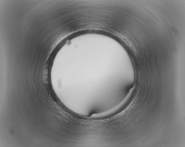X0000115610926200912080959