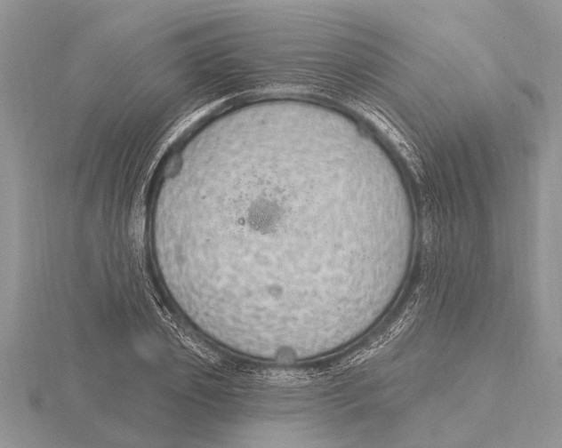 X0000115610933200912080959