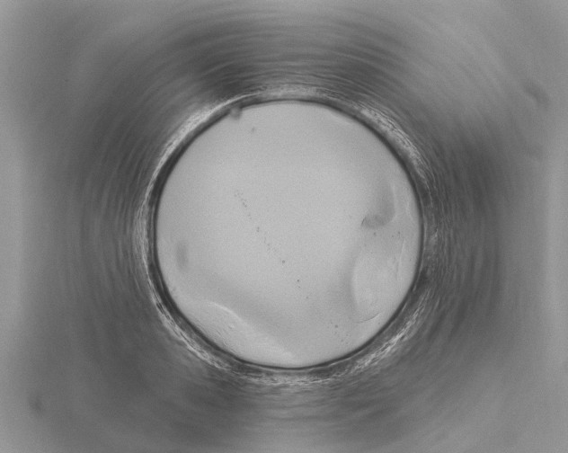 X0000115610941200912080959