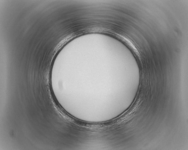 X0000115610946200912080959