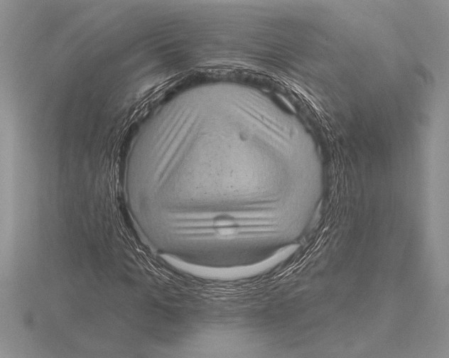 X0000115610965200912080959