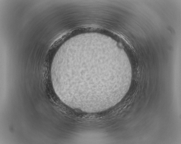 X0000115610967200912080959