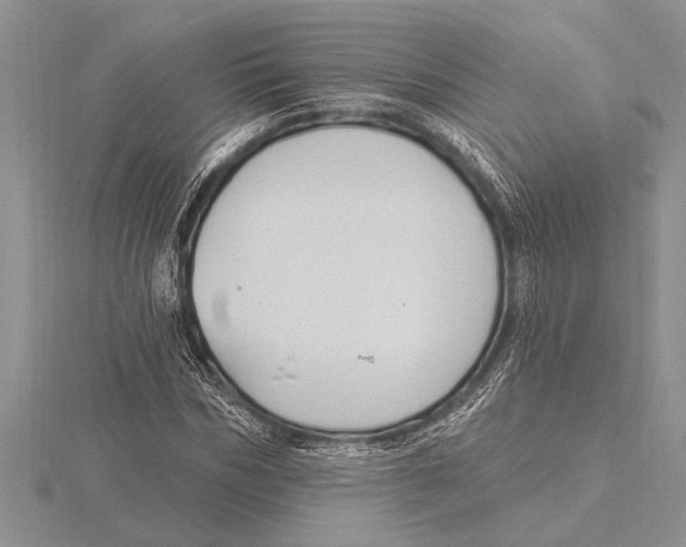 X0000115610970200912080959