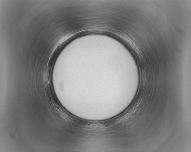 X0000115610974200912080959