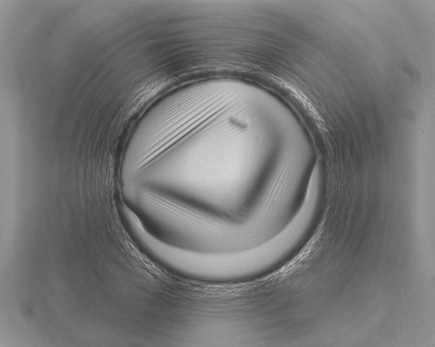 X0000115610977200912080959