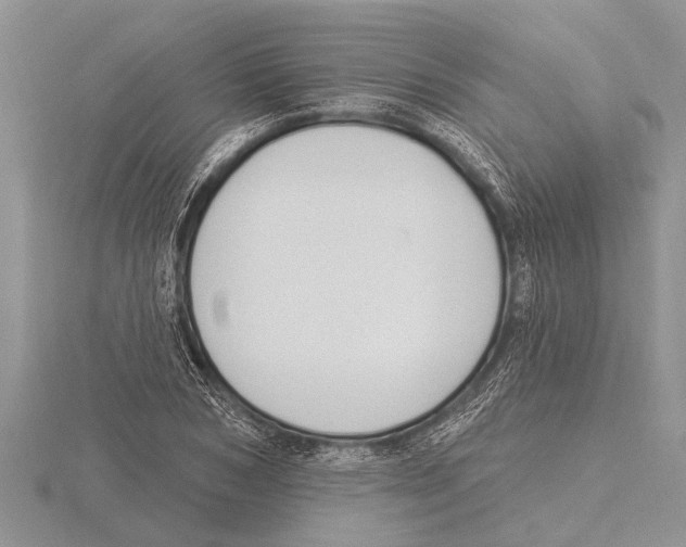 X0000115610978200912080959