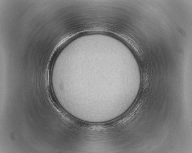 X0000115610982200912080959