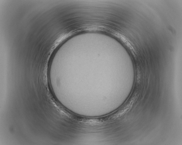 X0000115610986200912080959