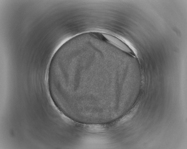 X0000115611007200912080958