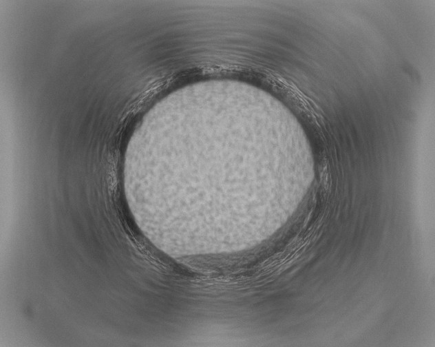 X0000115611012200912080958