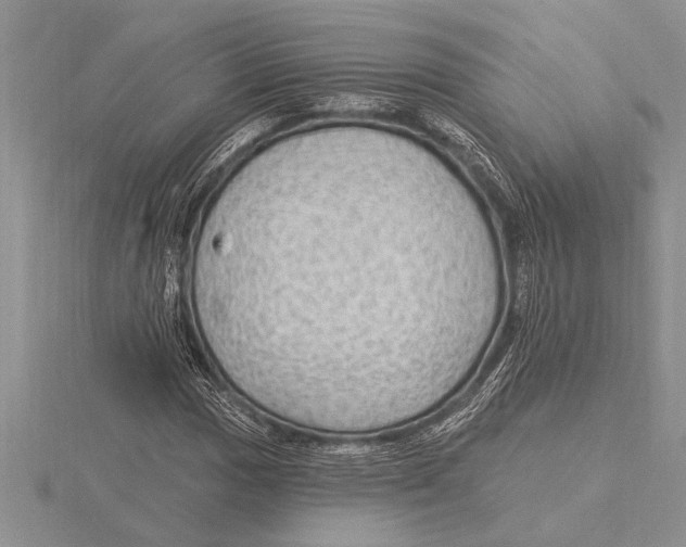 X0000115611017200912080958