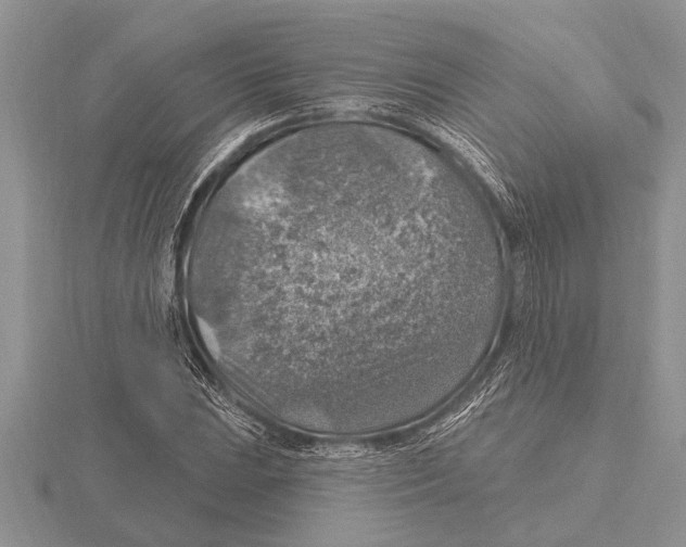 X0000115611023200912080958