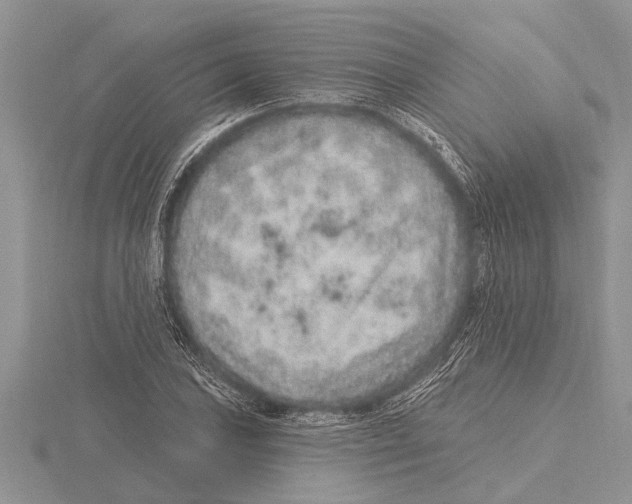 X0000115611027200912080958