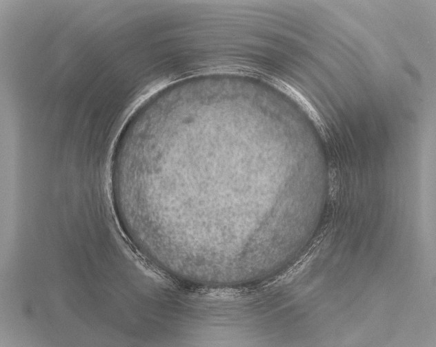 X0000115611043200912080958