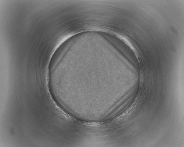 X0000115611048200912080958