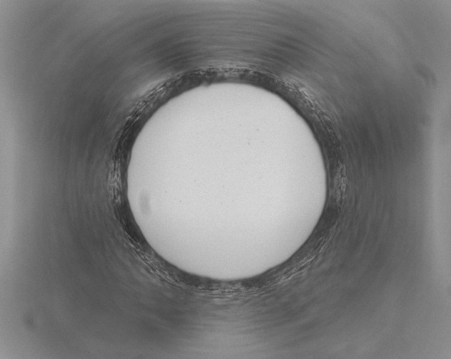 X0000115611062200912080958