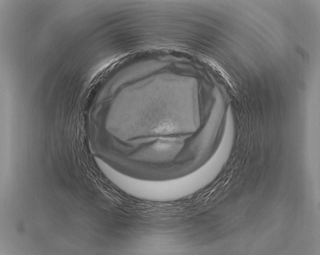 X0000115611064200912080958