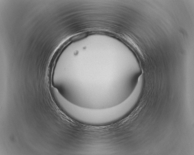 X0000115611068200912080957