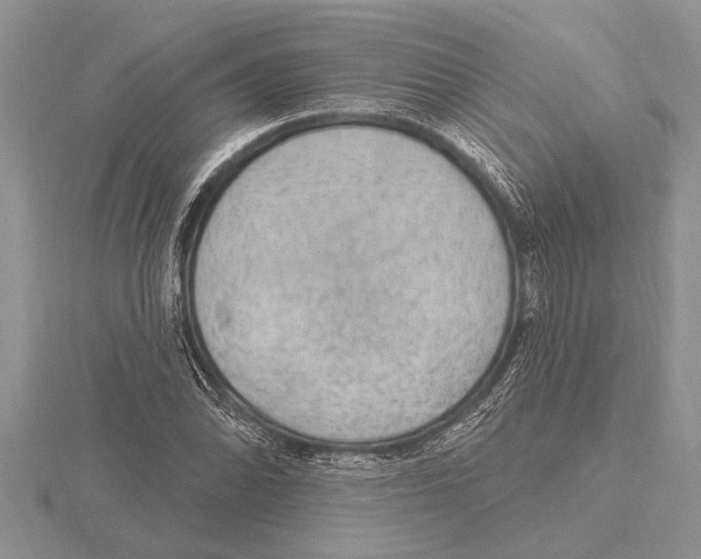 X0000115611070200912080957